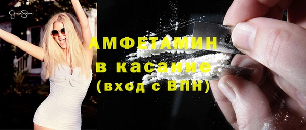шишки Дмитровск
