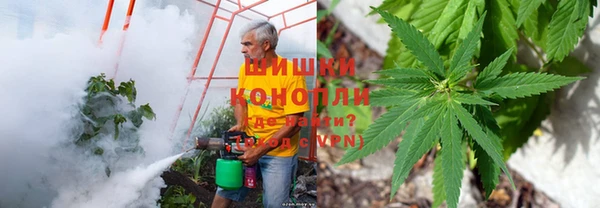 MESCALINE Магас