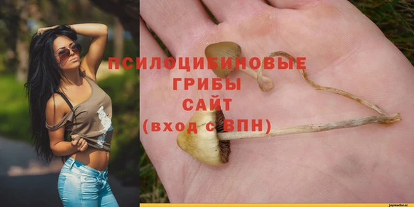 MESCALINE Магас