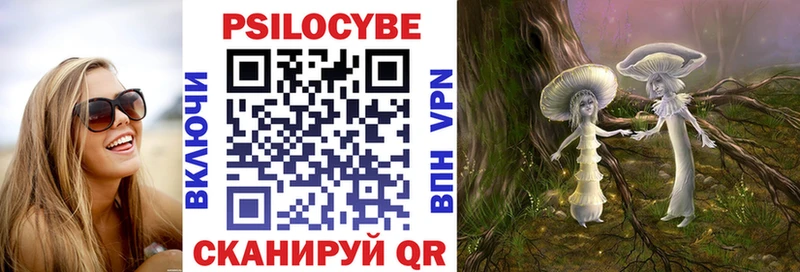 цена наркотик Жуковка ОМГ ОМГ ссылки Псилоцибиновые грибы Psilocybe